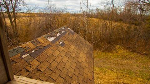 April 2014 - 20140427switzerville_3635_.jpg