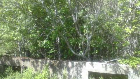 cemetery - North-West-Company-Cemetery1.jpg