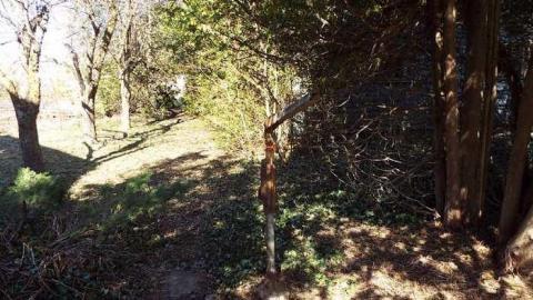 Interior Photos - Abandoned-or-Not-on-2557.jpg