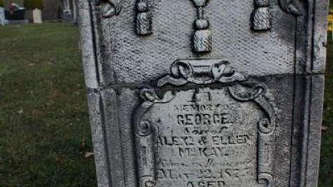 MacArthur Pioneer Cemetery photo 2