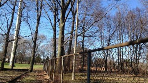 Forgotten - Lawn-Bowling-Court3.jpg