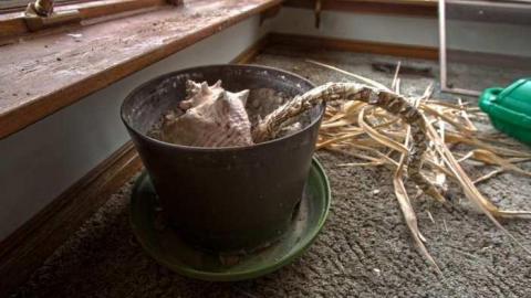 April 26 2014 - House-In-The-Swamp31.jpg