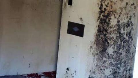 Still Alive - DSC03010.jpg