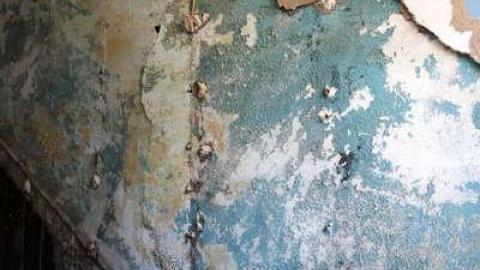 Still Alive - DSC03019.jpg