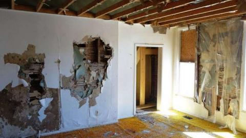 Still Alive - DSC03028.jpg