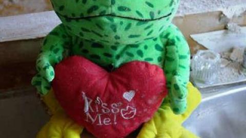 Still Alive - DSC03032.jpg