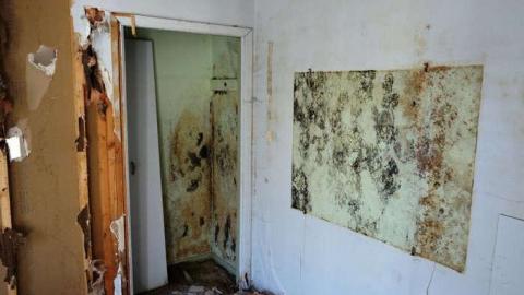 Still Alive - DSC03046.jpg