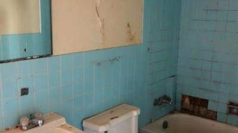 Still Alive - DSC03049.jpg