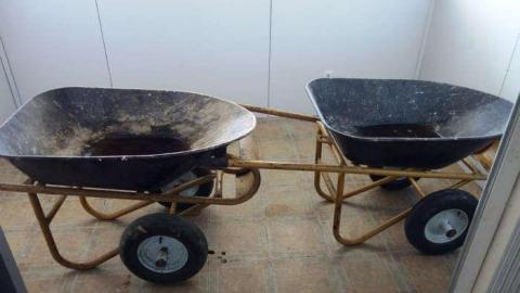 Still Alive - DSC03084.jpg