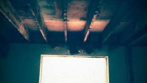 Extreme Dilapidation photo 4