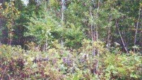 Burwash Reunion 2002 - Burwash-Correctional-Prison96.jpg