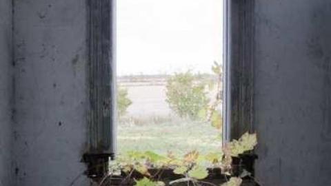 Cards - DSC_0104.jpg