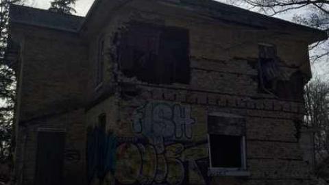 Photo from Jeremiah's Field in the Spring