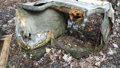 Photo from Jeremiah's Field in the Spring