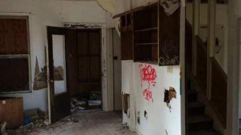 Jeremiah's Field in the Spring - Jeremiahs-Field92.jpg