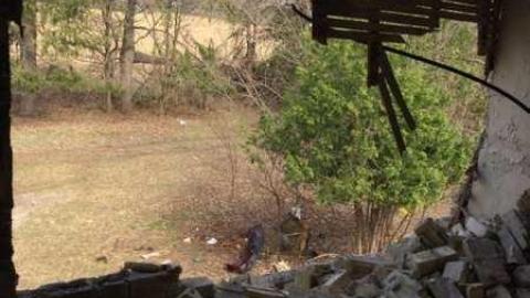 Jeremiah's Field in the Spring - Jeremiahs-Field93.jpg