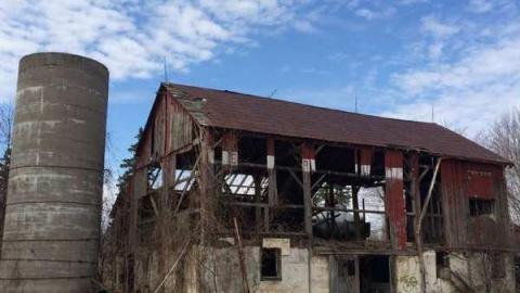 Jeremiah's Field in the Spring - Jeremiahs-Field75.jpg