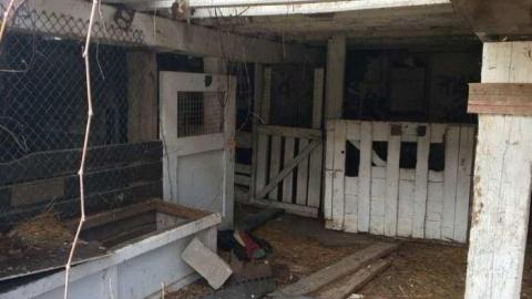 Jeremiah's Field in the Spring - Jeremiahs-Field94.jpg