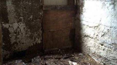 Jeremiah's Field in the Spring - Jeremiahs-Field76.jpg