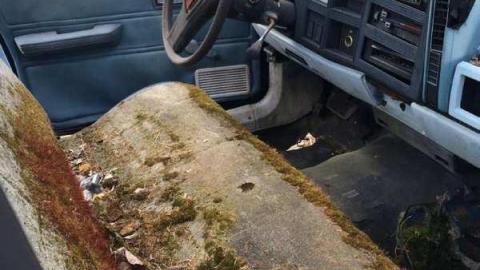 Jeremiah's Field in the Spring - Jeremiahs-Field95.jpg