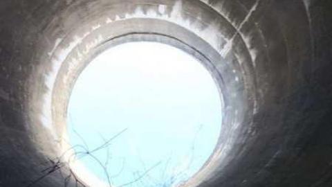 Jeremiah's Field in the Spring - Jeremiahs-Field96.jpg