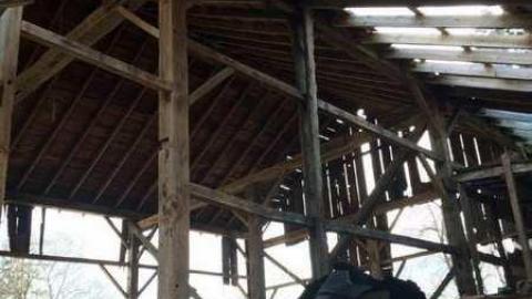 Jeremiah's Field in the Spring - Jeremiahs-Field78.jpg