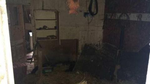 The Cedars - Across-The-River130.jpg