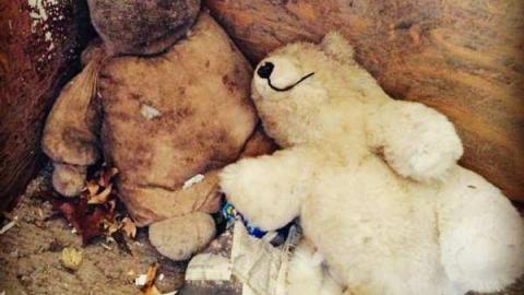 The Cedars - Across-The-River307.jpg