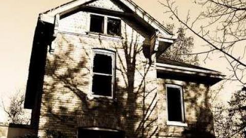 Photo from Jeremiah's Field