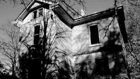 Jeremiah's Field - Jeremiahs-Field184.jpg