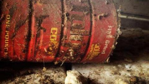 Garnet's House photo 2