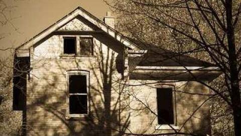 Photo from Jeremiah's Field