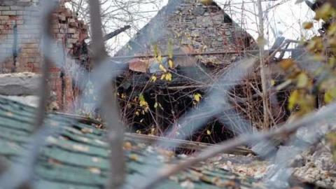 Lemieux Island photo 4