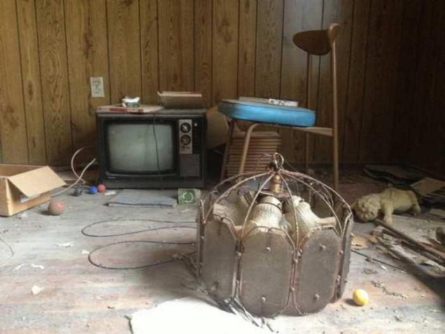 April 2013 - IMG_4856.jpg