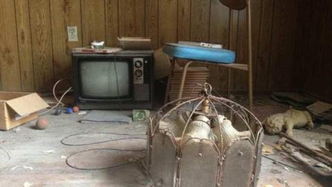 April 2013 - IMG_4856.jpg