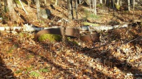 Hunting Massanoga Rattler - Massanoga-(ghost-town)16.jpg