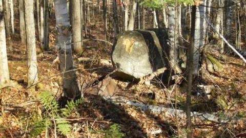 Photo from Hunting Massanoga Rattler