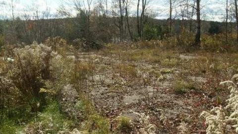 Hunting Massanoga Rattler - Massanoga-(ghost-town)19.jpg