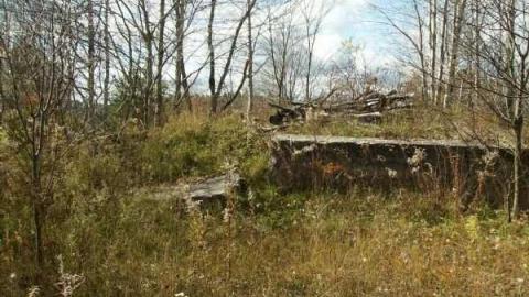 Photo from Hunting Massanoga Rattler