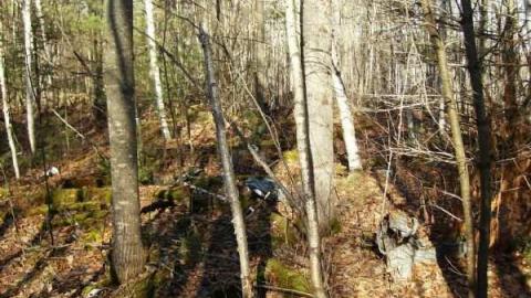 Hunting Massanoga Rattler - Massanoga-(ghost-town)22.jpg