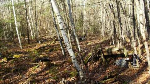 Hunting Massanoga Rattler - Massanoga-(ghost-town)23.jpg