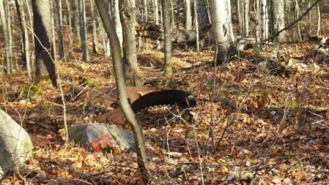 Hunting Massanoga Rattler - Massanoga-(ghost-town)24.jpg