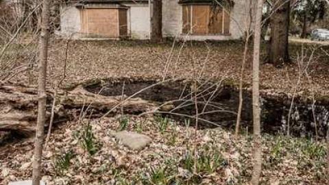 Passed By - Fanshawe-Beauty61.jpg