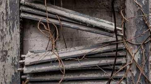 Passed By - Fanshawe-Beauty64.jpg