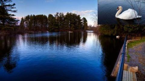 April 2014 - Bellrock-Mill12.jpg