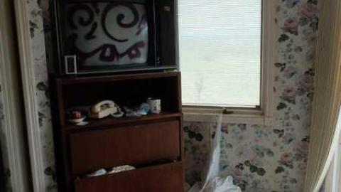 April2014 - Abandoned-Cat-Lady-House85.jpg