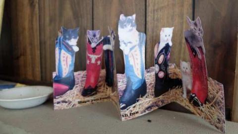 April2014 - Abandoned-Cat-Lady-House77.jpg