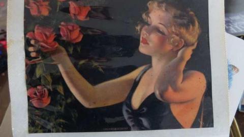 April2014 - Abandoned-Cat-Lady-House86.jpg