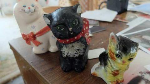 April2014 - Abandoned-Cat-Lady-House87.jpg