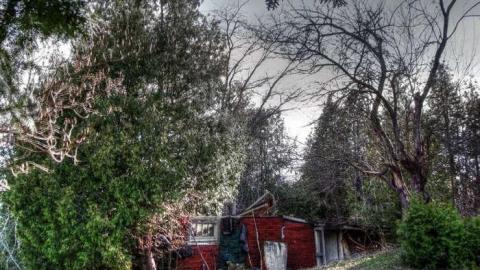 Redrum Murder cover photo